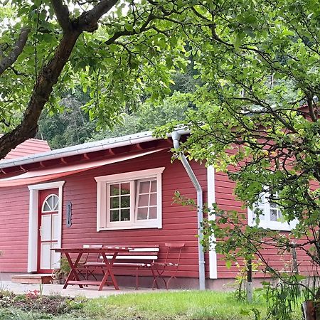 Wippra Ferienhaus Am Wald מראה חיצוני תמונה