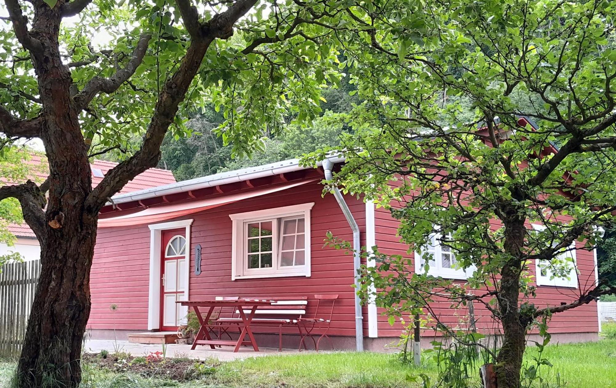 Wippra Ferienhaus Am Wald מראה חיצוני תמונה