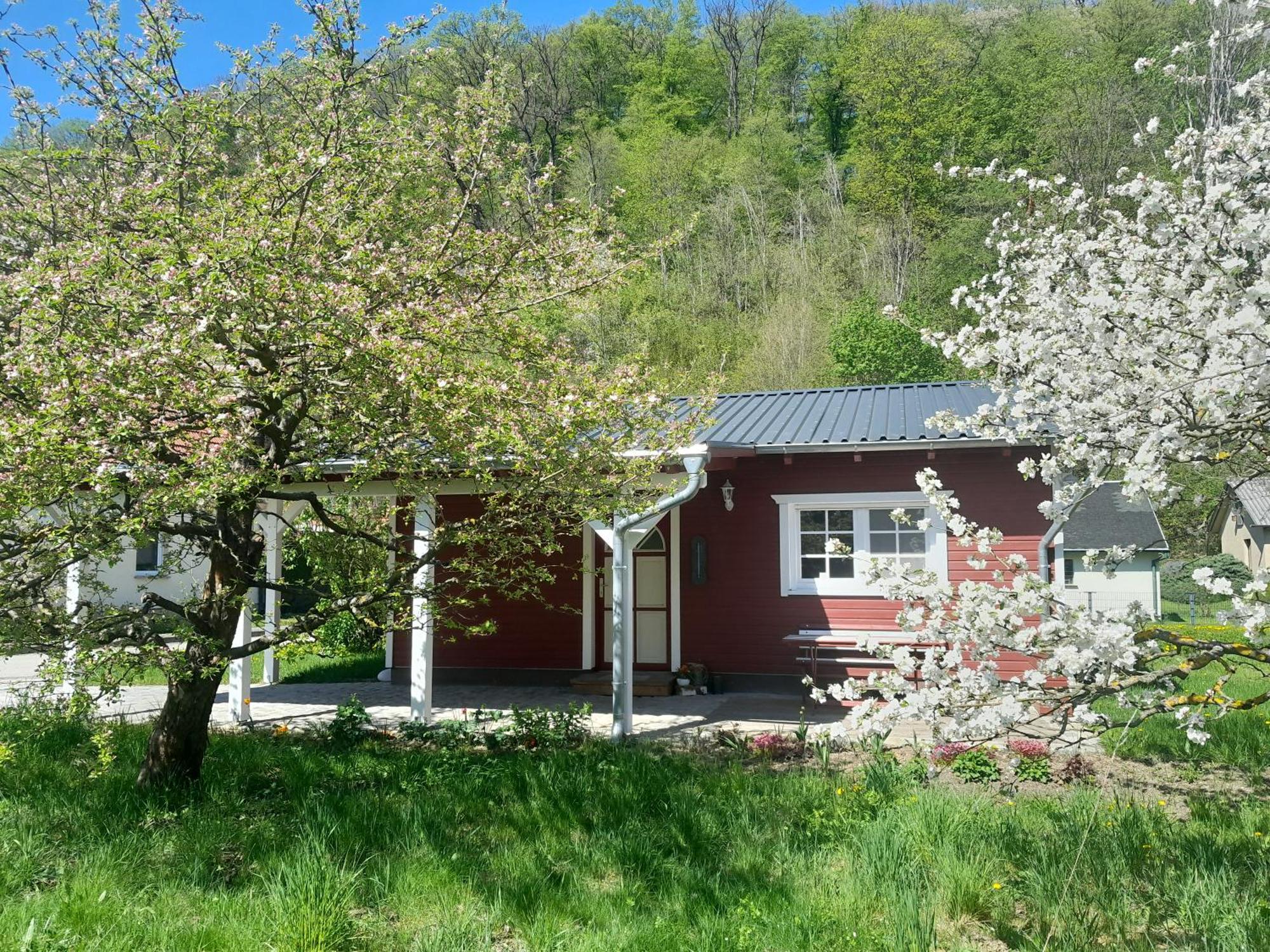 Wippra Ferienhaus Am Wald מראה חיצוני תמונה